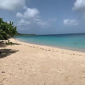 Cote Le Balaou Francois Saint-Francois (Grande-Terre)