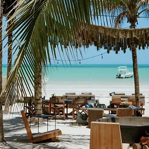 Casa Tortugas Petit & Holbox