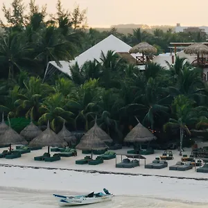 Casa Tortugas Petit & Holbox